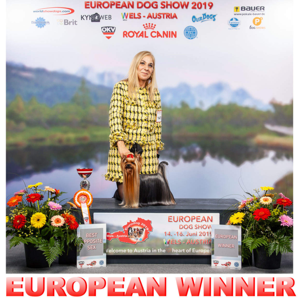 Euro corgi show best sale 2019